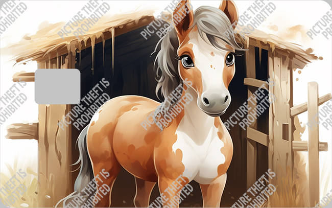 Bank  Card Sticker-BC-2289